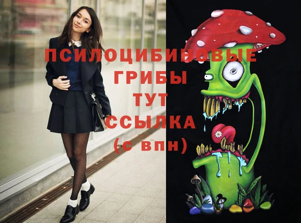 шишки Алексин